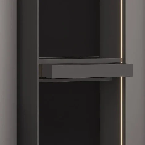Galaxy 2 doors Wardrobe V2