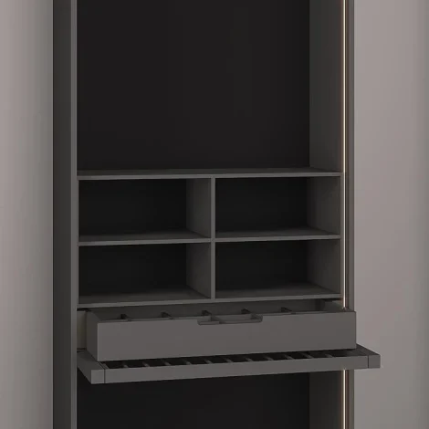 Galaxy 2 doors Wardrobe V3