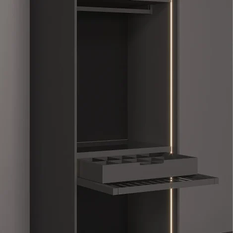 Galaxy 2 doors Wardrobe V4
