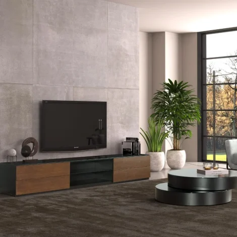 Pandora TV unit